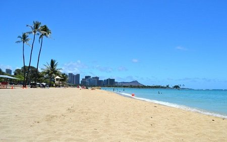 Ala Moana Beach Park
