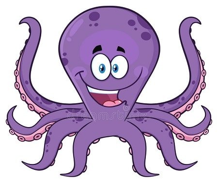 Octopus