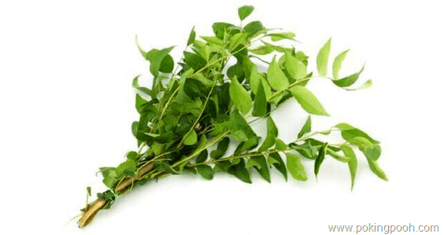 Curry Leaves - Dried Herbs Curry Leaves