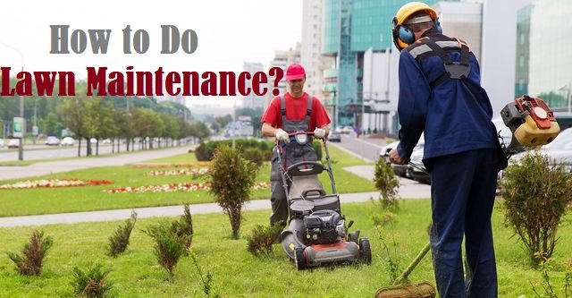 Lawn Maintenance – How to Get Lush Green Beautiful and Healthy Lawn