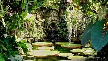 La Mortella, Ischia - Italy Garden