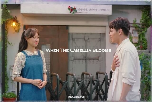 When The Camellia Blooms When The Camellia Blooms